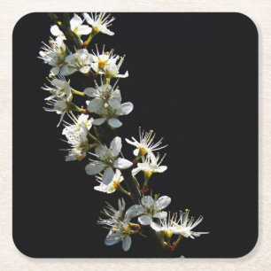 Hawthorn Bloemen coastercna Kartonnen Onderzetters