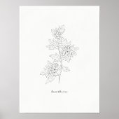 Hawthorn Flower Line Art Print (Voorkant)