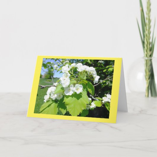 Hawthorn Flowers Blank Note Kaart (Voorkant)