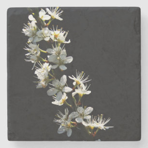 Hawthorn Flowers coastercnm Stenen Onderzetter