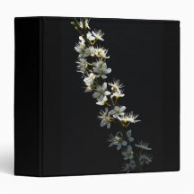 Hawthorn Flowers rbcnm