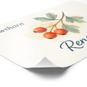 Hawthorn — Renewal Foto Afdruk (Hoek)