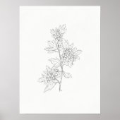 Hawthorn Sketch Art Print (Voorkant)