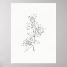 Hawthorn Sketch Art Print