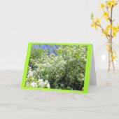Hawthorn Tree in Flower Blank Note Kaart (Gele Bloem)