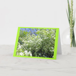Hawthorn Tree in Flower Blank Note Kaart