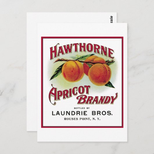 Hawthorne Abriot Brandy Briefkaart (Voorkant / Achterkant)