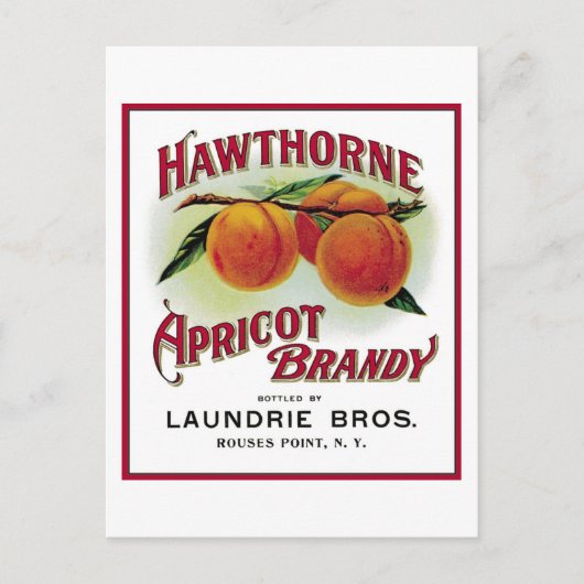 Hawthorne Abriot Brandy Briefkaart (Voorkant)