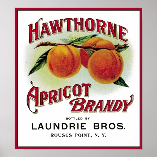 Hawthorne Abriot Brandy Poster (Voorkant)