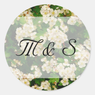 Hawthron Blossom Ronde Sticker