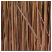 Hay achtergrond stof (Swatch)