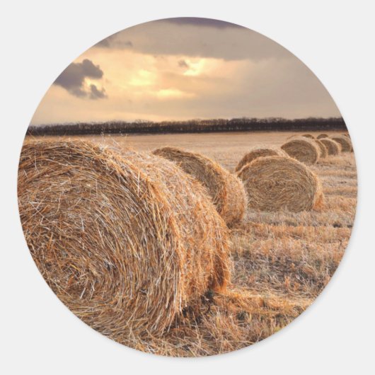 Hay Bail Farmer AG Agriculture sticker (Voorkant)