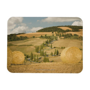 Hay bale and Roland Landscape, Toscane, Italië Magneet