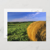 Hay Bales bij Bottineau North Dakota Briefkaart (Voorkant / Achterkant)