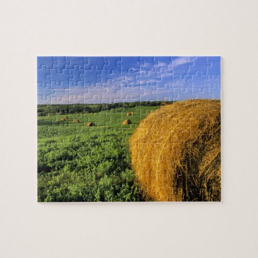 Hay Bales bij Bottineau North Dakota Legpuzzel (Horizontaal)
