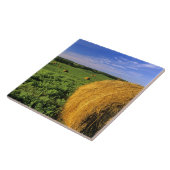 Hay Bales bij Bottineau North Dakota Tegeltje (Zijkant)