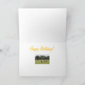 Hay Bales Kaart (Binnen)