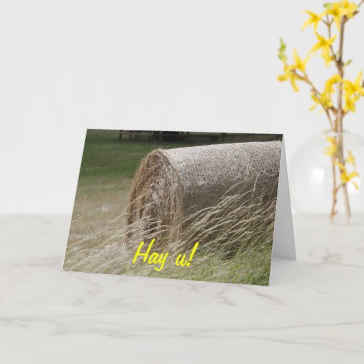 Hay Bales Kaart (Gele Bloem)