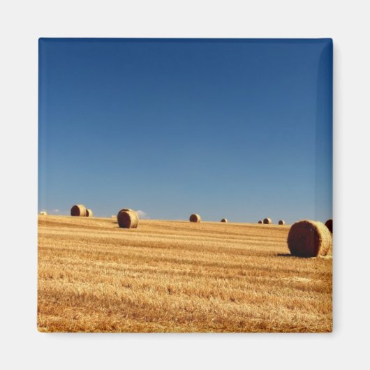 Hay Bales Magneet (Voorkant)
