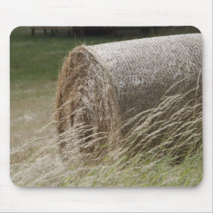 Hay bales muismat