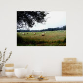 Hay Bales of Ocala Florida poster fotografie kunst (Keuken)