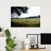 Hay Bales of Ocala Florida poster fotografie kunst (Thuiskantoor)