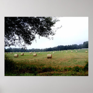 Hay Bales of Ocala Florida poster fotografie kunst