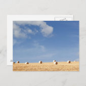 Hay Bales on Field Briefkaart (Voorkant / Achterkant)
