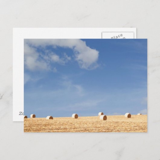 Hay Bales on Field Briefkaart (Voorkant / Achterkant)