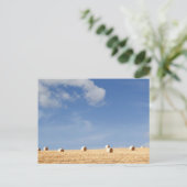 Hay Bales on Field Briefkaart (Staand voorkant)