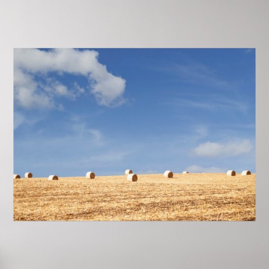Hay Bales on Field Poster (Voorkant)