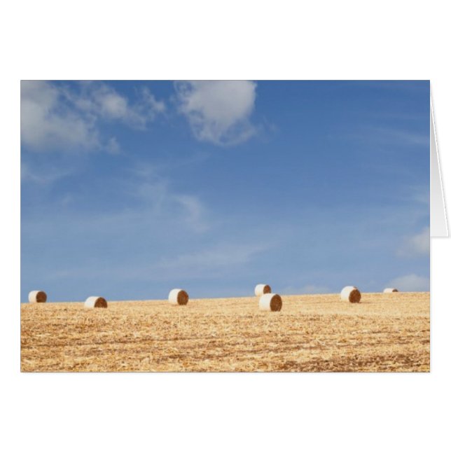 Hay Bales op het veld (Voorkant Horizontaal)