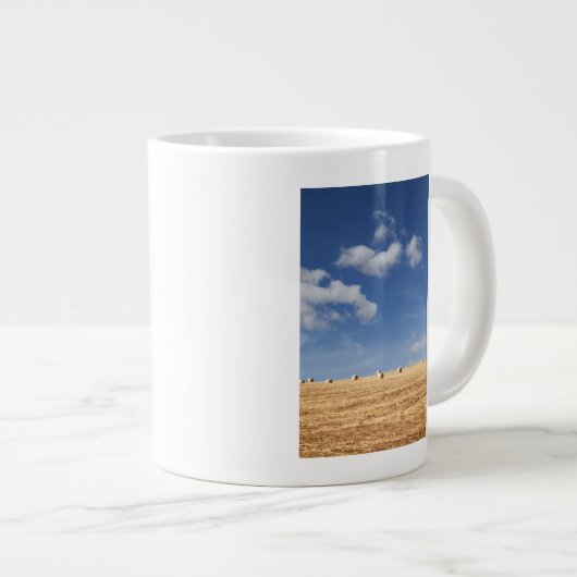 Hay Bales op het veld Grote Koffiekop (Voorkant rechts)