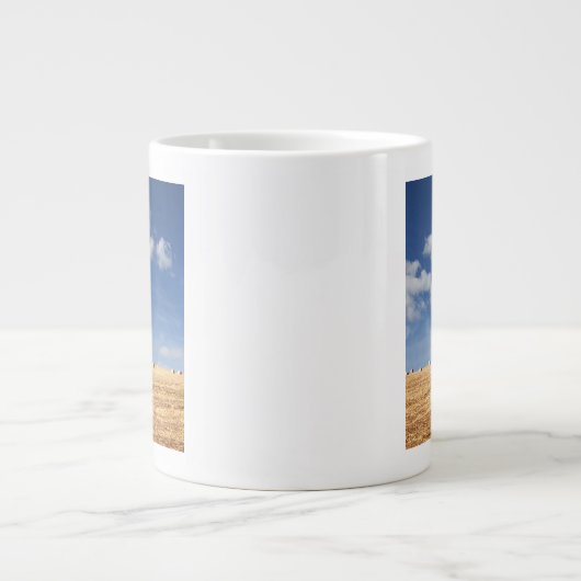 Hay Bales op het veld Grote Koffiekop (Voorkant)