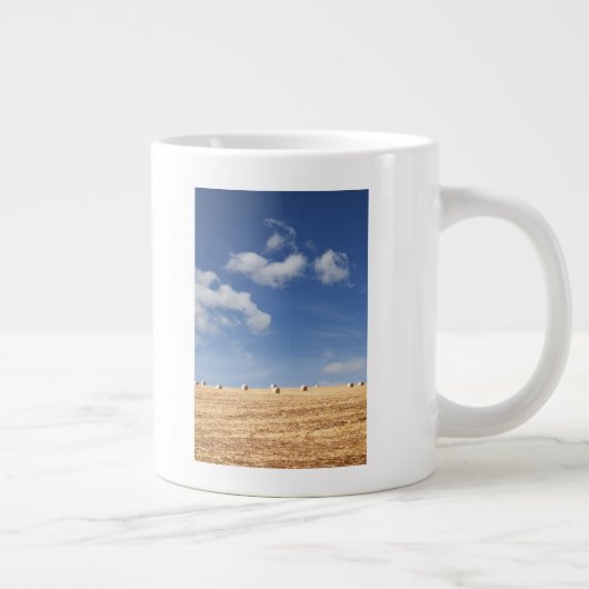 Hay Bales op het veld Grote Koffiekop (Rechts)