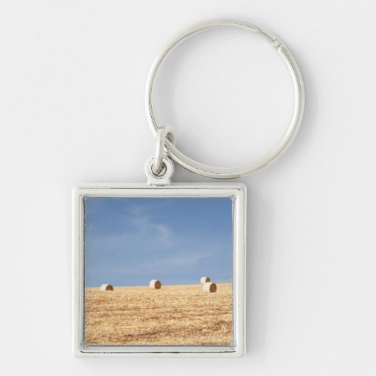 Hay Bales op het veld Sleutelhanger (Voorkant)