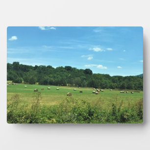Hay Bales, Wytheville, Virginia Fotoplaat