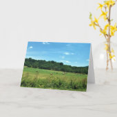 Hay Bales, Wytheville, Virginia Kaart (Gele Bloem)