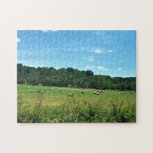 Hay Bales, Wytheville, Virginia Legpuzzel (Horizontaal)