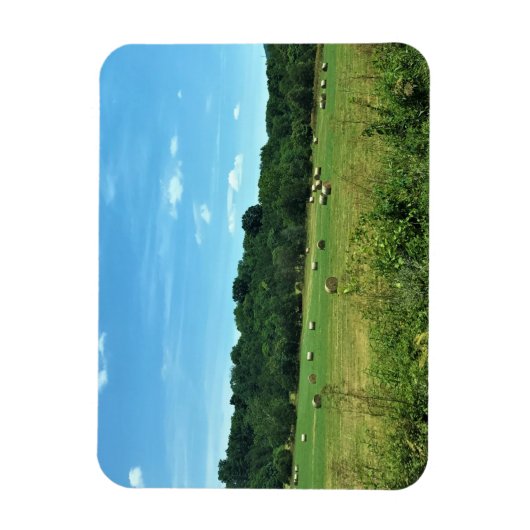 Hay Bales, Wytheville, Virginia Magneet (Verticaal)