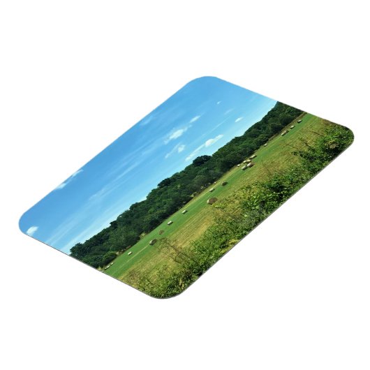 Hay Bales, Wytheville, Virginia Magneet (Linkerzijde)