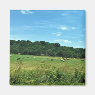 Hay Bales, Wytheville, Virginia Poster Magneet