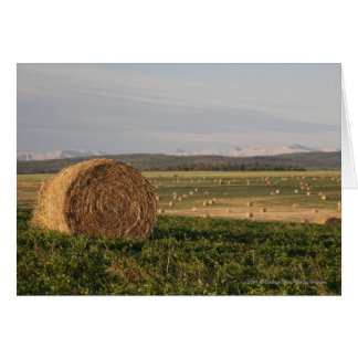 Hay balt in een gebied met berggebieden op zonsopg