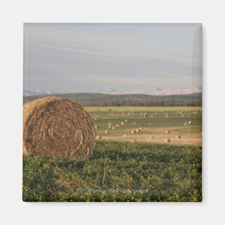 Hay balt in een gebied met berggebieden op zonsopg magneet