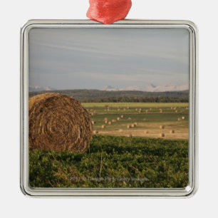 Hay balt in een gebied met berggebieden op zonsopg metalen ornament