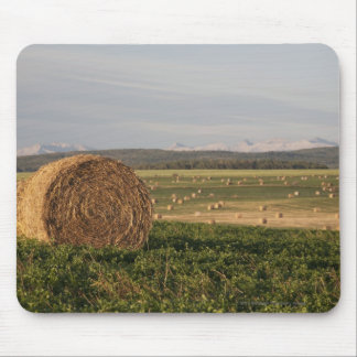 Hay balt in een gebied met berggebieden op zonsopg muismat