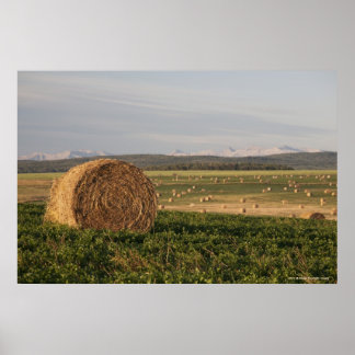 Hay balt in een gebied met berggebieden op zonsopg poster