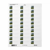 Hay Barn en het veld Etiket (Full Sheet)