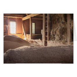 Hay Barn gevuld met zon