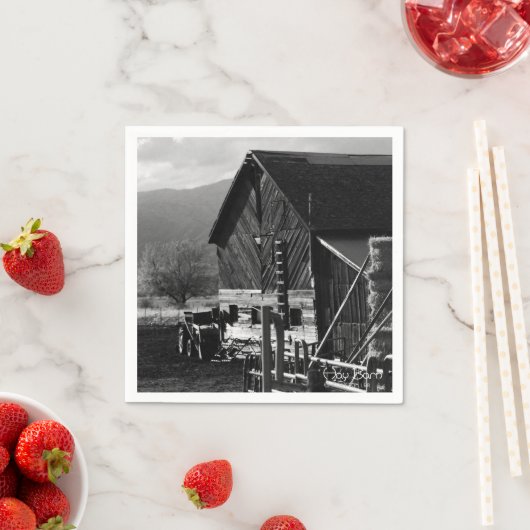 Hay Barn Servet (Insitu)